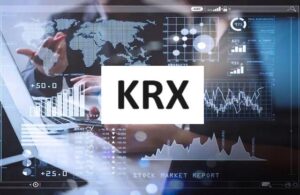 HoSE đề nghị các công ty chứng khoán dừng chuyển đổi sang hệ thống KRX